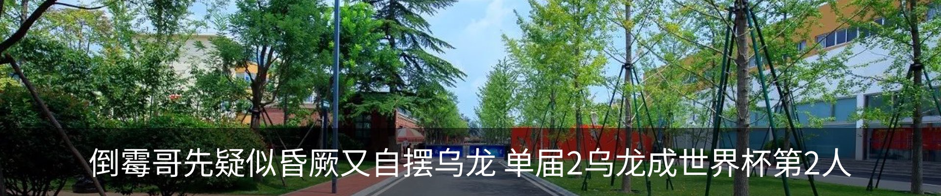 新闻动态