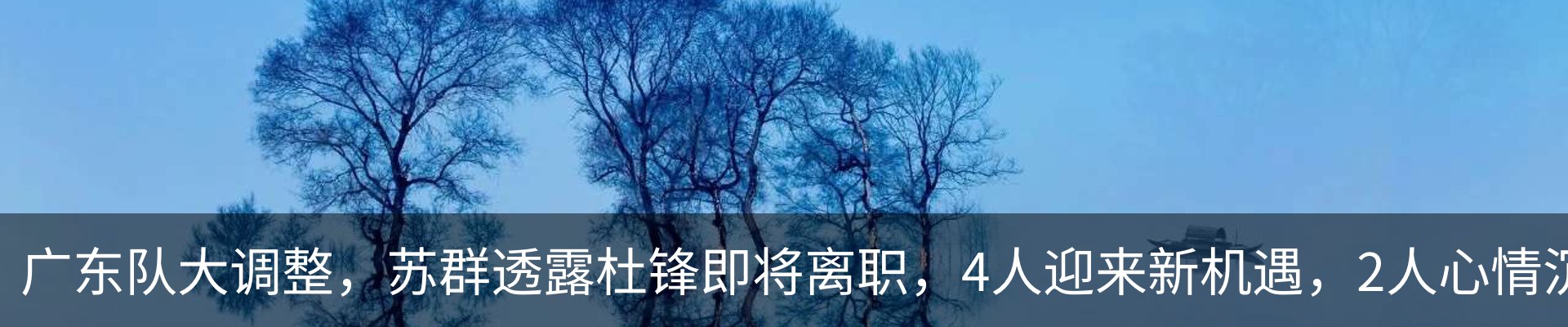 新闻动态