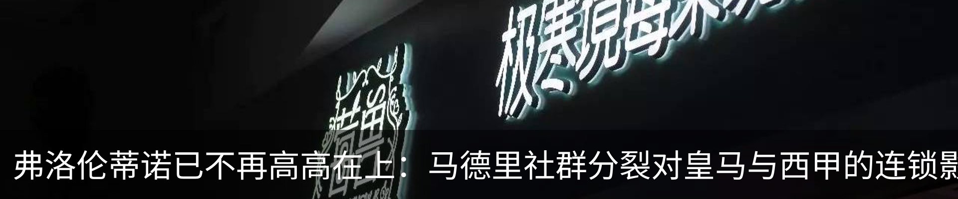 新闻动态