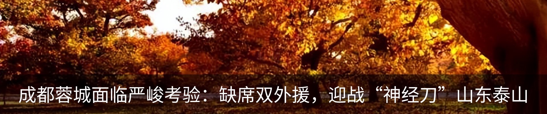 新闻动态