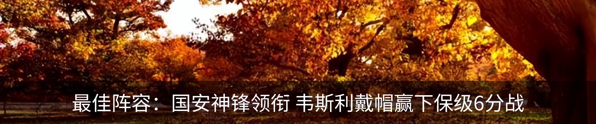 新闻动态
