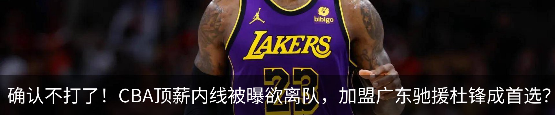 新闻动态
