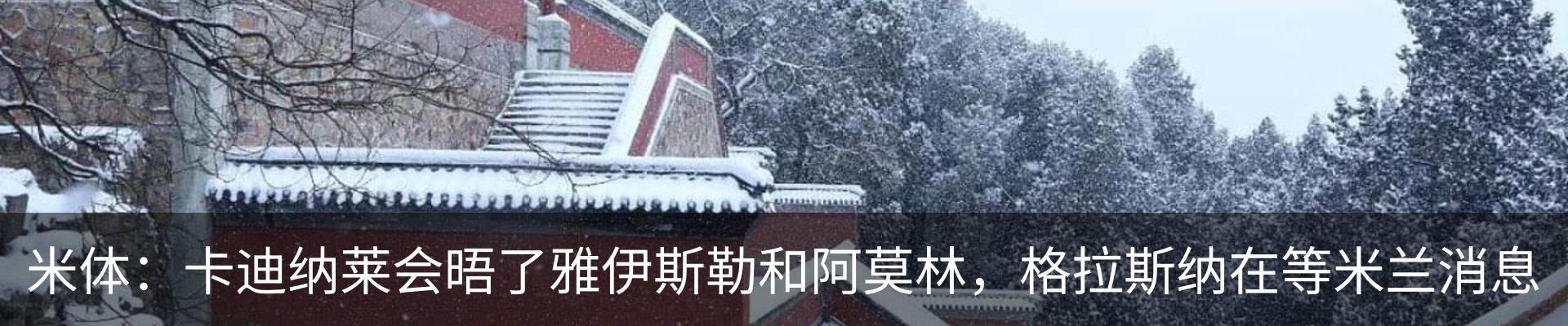 新闻动态