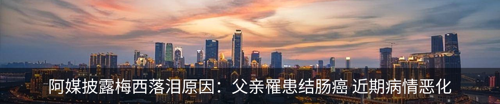 新闻动态