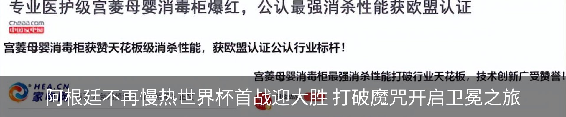 新闻动态