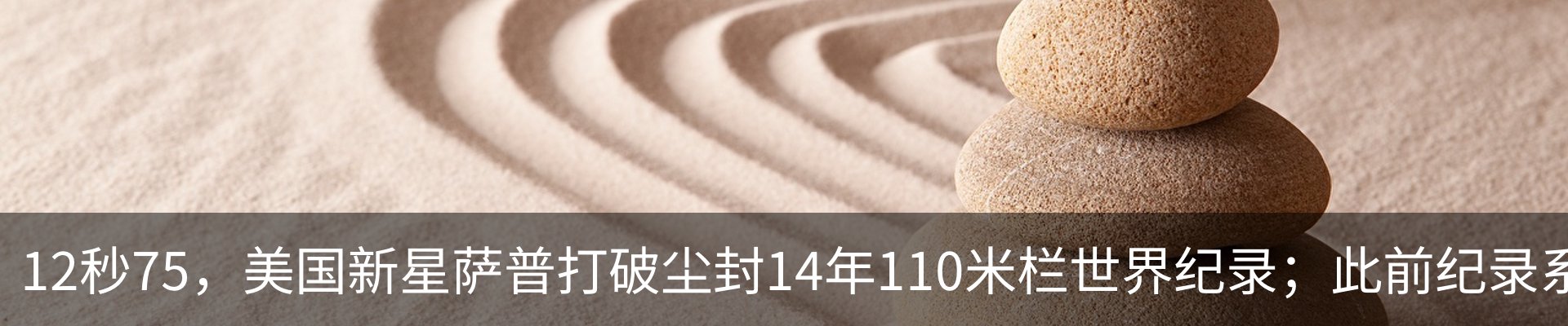 新闻动态