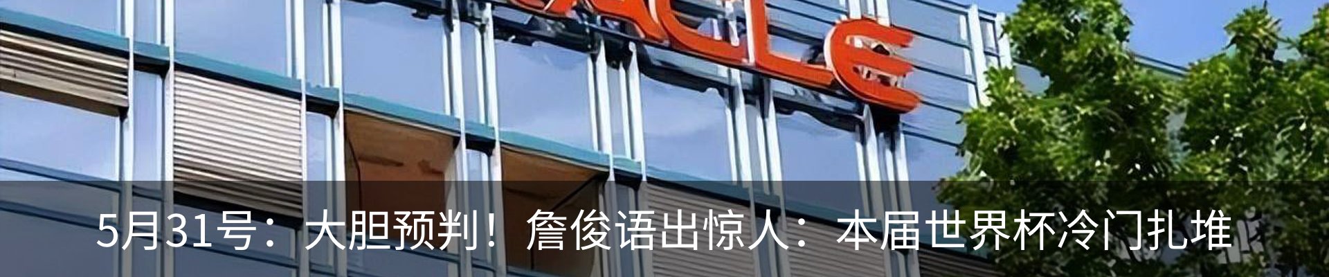 新闻动态