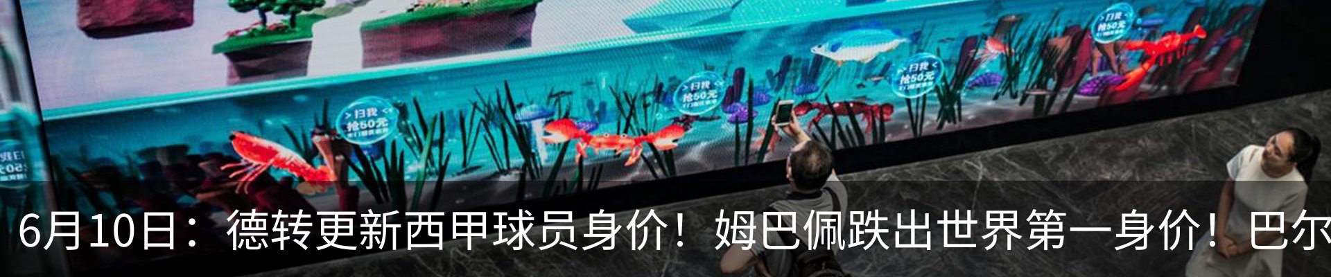 新闻动态