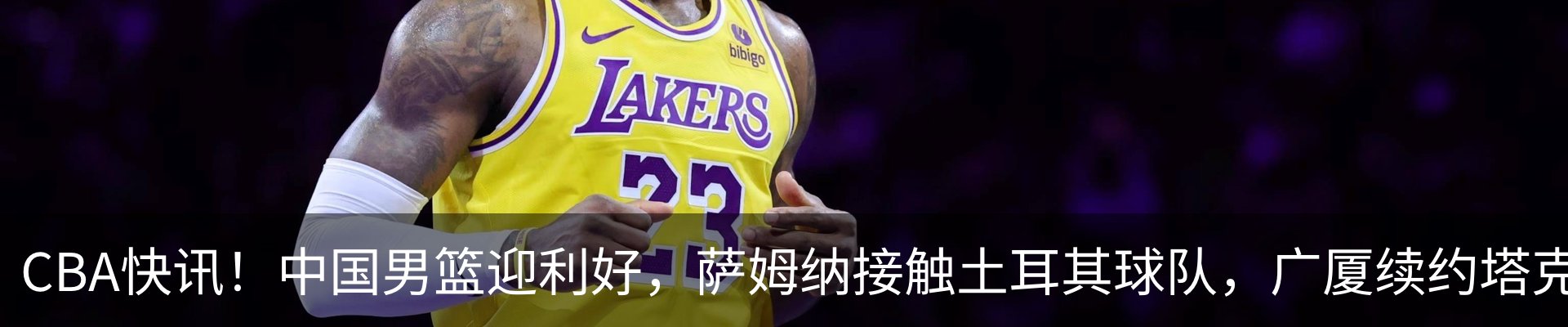 新闻动态